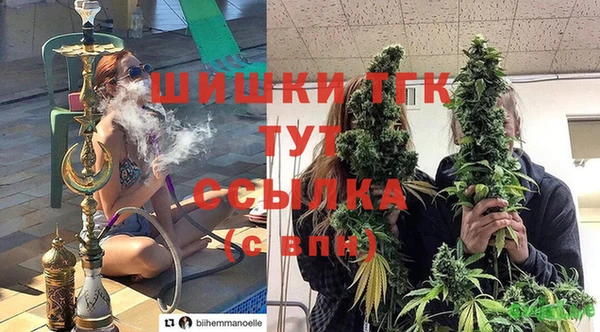 хмурый Горно-Алтайск