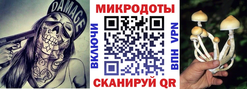 Галлюциногенные грибы GOLDEN TEACHER  Мценск 