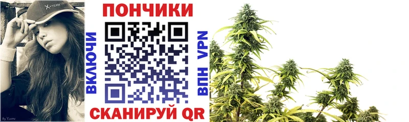 Канабис план  Мценск 